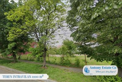 Teren de 1000 mp, în Cantemir - 1