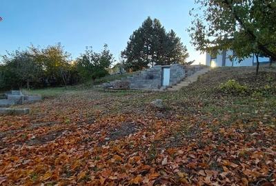 Proprietar,casa in Hlincea 170 mp,teren 1500 mp,aer curat,liniste Proprietar,casa in Hlincea 170 mp,teren 1500 mp,aer curat,liniste - 11