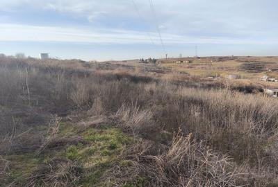 Spațiu comercial, în Șorogari - 2