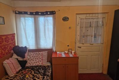 Casă individuală cu 3 camere cu Teren 2850 Mp în Alunișu - 13