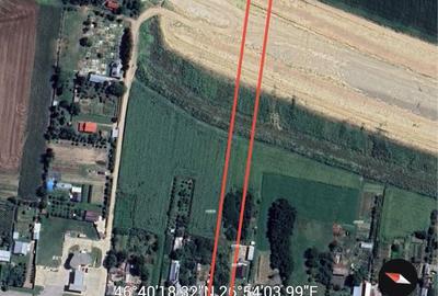 Teren de 2100 mp, în Dumbrava (Răchitoasa) - 2
