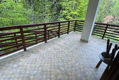 Casa de vacanta Predeal - 6