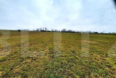 Teren de 4300 mp, în Sopor