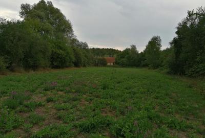 Casă cu 2 camere cu Teren 2000 Mp în Julița - 3