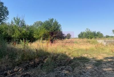 Teren în Clinceni - 3