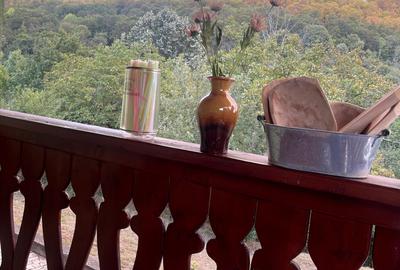 Casă cu 4 camere în Buhani - 2