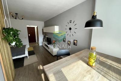 Garsoniera renovata modern str Nada Florilor - Teiul Domnei - 25