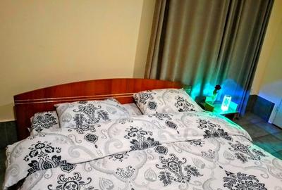 Garsoniera de inchiriat in zona Dristor - 4