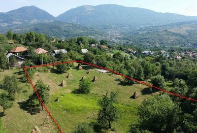 Teren de 6348 mp, în Corbeni - 8