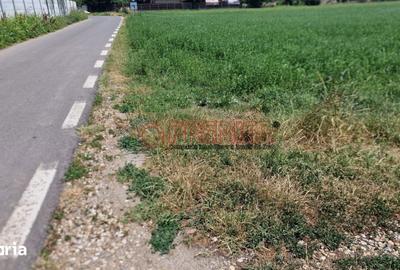 Teren de 9470 mp, în Bolintin-Deal - 9