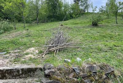 Teren de 1100 mp, în Văliug - 3