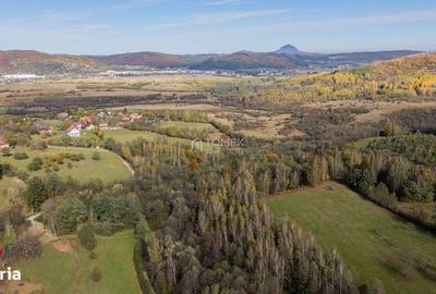 Spațiu comercial, în Predeluț - 1