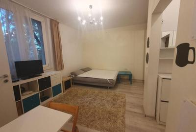 Garoniera - zona Primaverii - 1