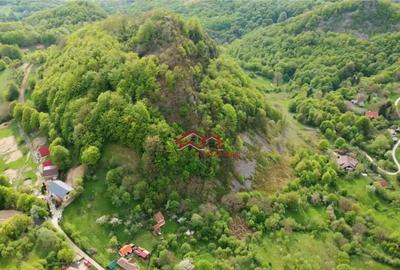 Teren Sacaramb,la20 km deDeva,jud.Hunedoara,comision0 - 8