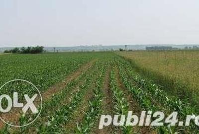 Teren de 38000 mp, în Central