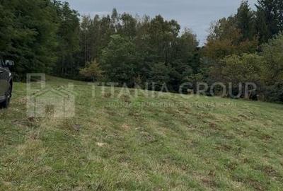 Teren intravilan, cu PUZ, Bran Tohanita, pârâu, pădure și priveliște de vis Teren intravilan, cu PUZ, Bran Tohanita, pârâu, pădure și priveliște de vis - 7