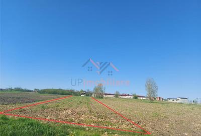 TEREN INTRAVILAN | 4300 MP | HIDISELUL DE SUS | BIHOR - 4