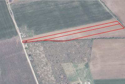 Teren de 420 mp, în Corbeanca - 8