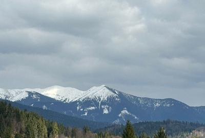 Casă cu 4 camere în Colibița - 7
