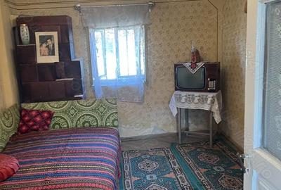 Casă cu 7 camere cu Teren 2650 Mp în Colțești - 4