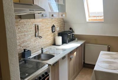 Apartament cu 2 camere decomandat în Dumbrăvița - 5