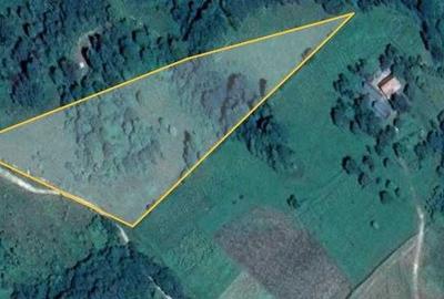 Teren de 15090 mp, în Saca - 2