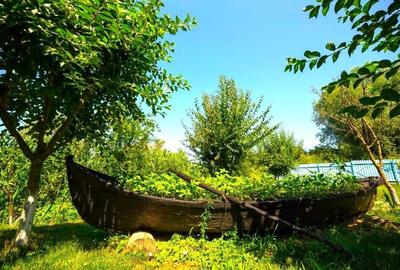 Oportunitate de investitie| Delta Dunarii |Mila 23| pensiune activa - 5