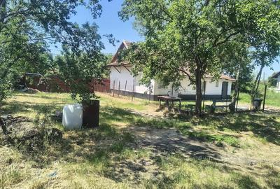 Casă cu Teren 1500 Mp în Tormac - 7
