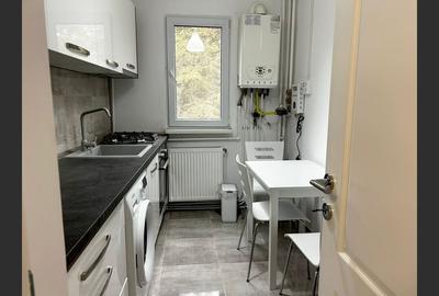 Apartament de vis - complet renovat, mobilat, etaj 2/4 - 11