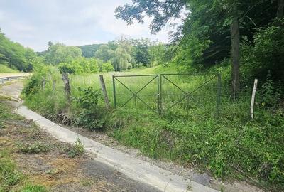 Teren intravilan lângă pădure – 1659 mp,  C.U. P+2E, Vărbilău - 4