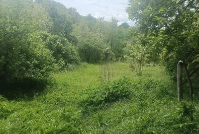 Teren de 5400 mp, în Brătila - 4