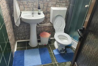 Casa P+M, teren si anexe, Vladesti - 1