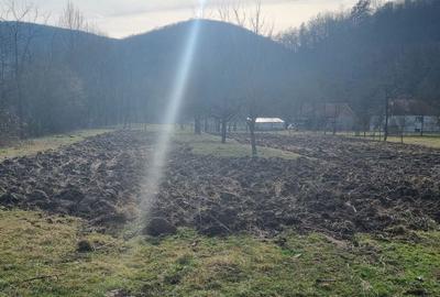 Teren de 3700 mp, în Certeju de Sus - 2