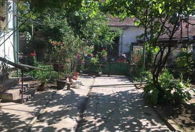 Casă cu 6 camere cu Teren 3444 Mp în Căstău - 5