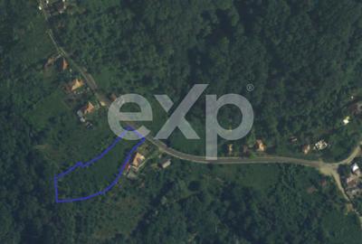 Spațiu comercial, în Drăganu - 4