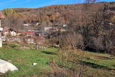 Casă cu 3 camere cu Teren 6772 Mp în Ursoaia - 2