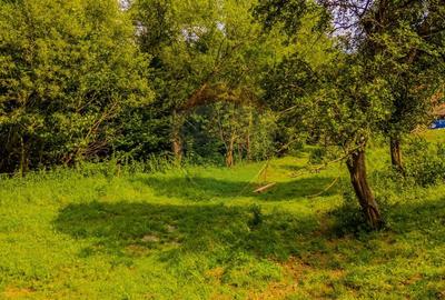 COMISION 0% Teren 11,381 mp Moieciu de Jos / Oportunitate unica - 14