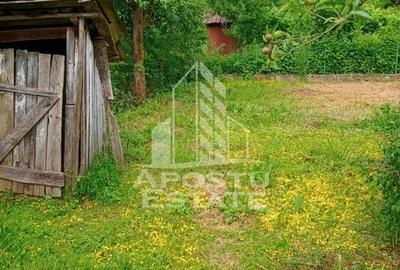 Casa bătrânească de vânzare | 4 camere | Hunedoara | Micănești - 45