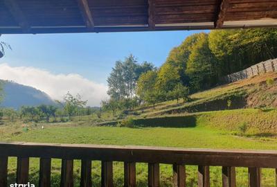 Casă cu 5 camere cu Teren 4000 Mp în Cricău - 12