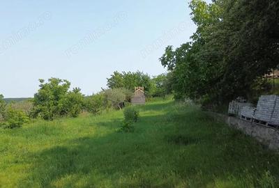 Teren 4800 mp cu Livada si Casa Nefinalizata - Adancata! - 16