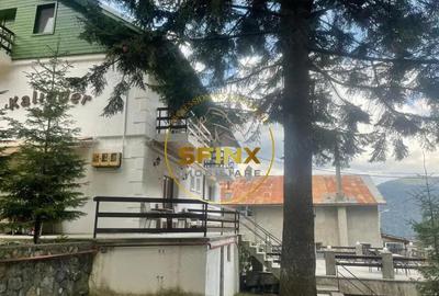 Pensiune 12 Camere ?i Restaurant - sta?iune turistica montana Bu?teni Pensiune 12 Camere ?i Restaurant - sta?iune turistica montana Bu?teni - 3