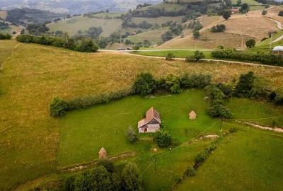 Proprietate + teren 10.400 mp incantoare pozitionare, Poiana Marului, Brasov - 3