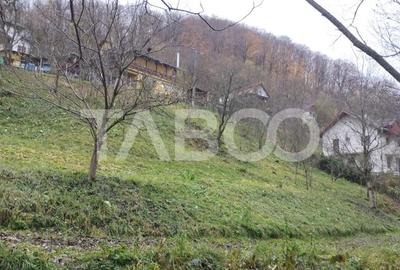 Cabana de vanzare in Ciuleni-Toplita langa lacul Cincis Cabana de vanzare in Ciuleni-Toplita langa lacul Cincis - 2