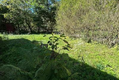 Casă cu 1 camere cu Teren 358 Mp în Valea Mănăstirii - 4