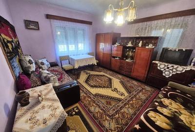 Casă cu 3 camere cu Teren 3000 Mp în Ciucea - 1