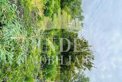 Casa individuala Covaci- 1000mp teren - 3