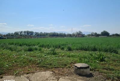 Teren de 500 mp, în Prejmer