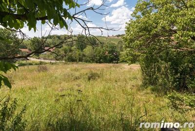 Casa in localitatea Balaia, jude?ul Bihor - 13