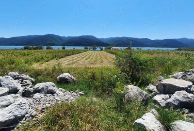 Teren de 2500 mp, în Berzasca - 7