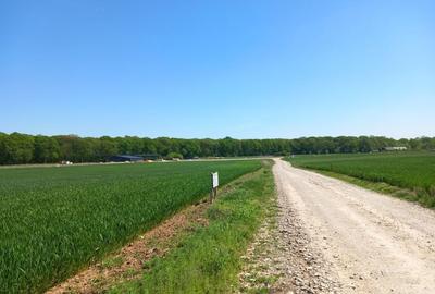 Spațiu comercial, în Lupăria - 7